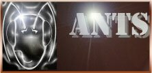 ants logo