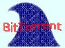 bitTorrent