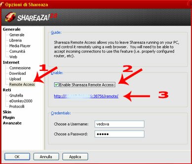 Accesso Remoto